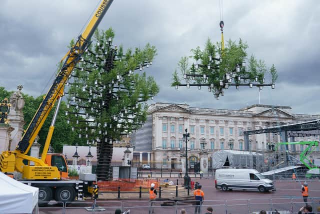 The pots were added to the repurposed steel branches and the youngsters also helped weave LED lights through the young trees, with the structure serving as the principal beacon during the Jubilee commemorations.