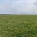 Renowned limestone land: 87.5 acres at Tullabracky, Bruff will be offered for sale by auction on Thursday, May 19 at 3pm