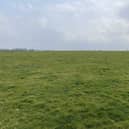 Renowned limestone land: 87.5 acres at Tullabracky, Bruff will be offered for sale by auction on Thursday, May 19 at 3pm