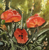 Poppies is a watercolour painted by Bea O’Connell.  Bea paints landscapes, streetscapes, flowers and birds.