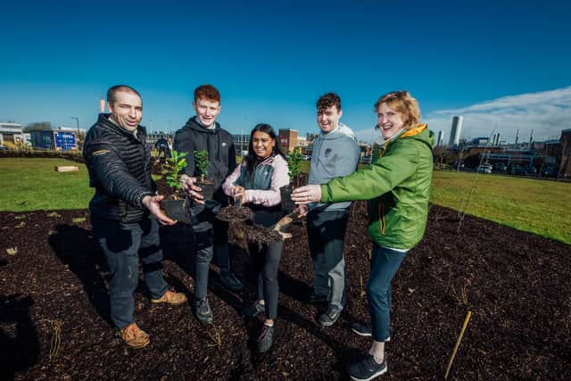 “The inclusion of a bee apiary was influenced by an avid beekeeper within our team,” he stated.