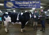 Champion at Central Auctions Show & Sale of Bulls & Bullocks in Roscrea Mart pictured with winner James Stanley and Mart Chairman Kenneth Grant.