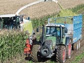 Irish farmers rely on Ukraine for almost 50% of their requirements for maize corn which is used in animal feed