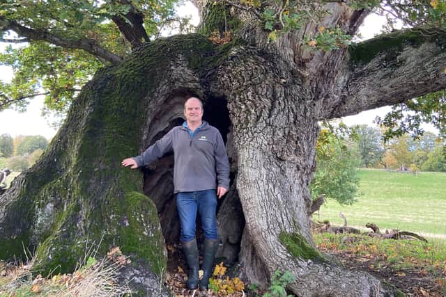 Establishing up to 70 Platinum Jubilee woods supports the trust’s long-term large-scale woodland creation aims and will help fight the climate and nature crises, by locking up carbon and providing habitats for wildlife, the charity said.