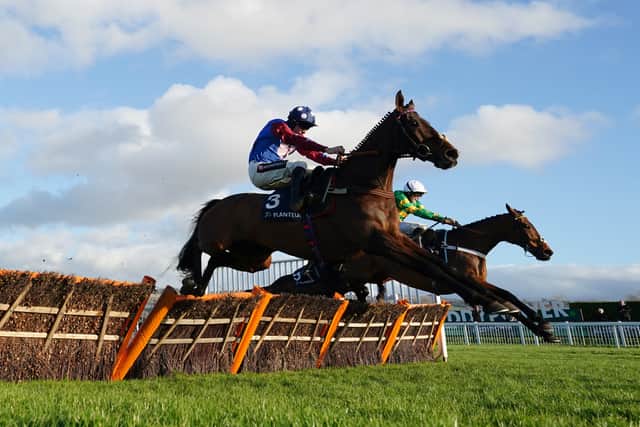 Paisley Park in perfect place as latest Cheltenham challenge looms