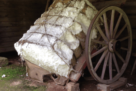 Cotton was one of the slave-based industries in the American south that greatly facilitated the growth of trade and commerce of that era