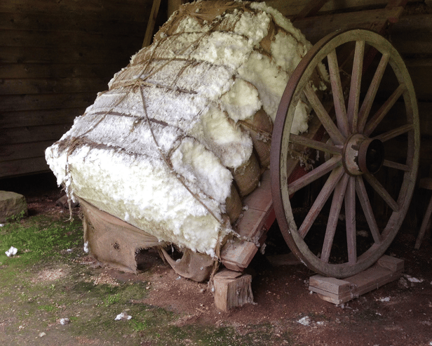 Cotton was one of the slave-based industries in the American south that greatly facilitated the growth of trade and commerce of that era