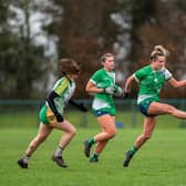 Limerick captain Roisin Ambrose sets up an attack in the win over Offaly. PIC: Mark Sheahan