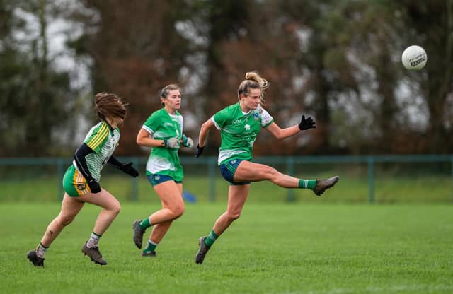 Limerick captain Roisin Ambrose sets up an attack in the win over Offaly. PIC: Mark Sheahan