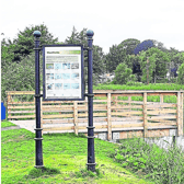 A view of Westfield Wetlands