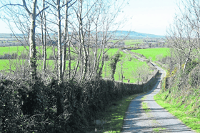 In accordance to the Wildlife Act, the season when cutting hedgerows and verges is between the start of September and the end of February the following year