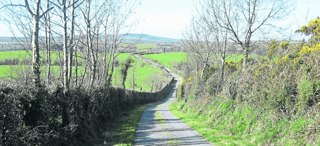 In accordance to the Wildlife Act, the season when cutting hedgerows and verges is between the start of September and the end of February the following year