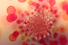 Friday's Covid figures have been released