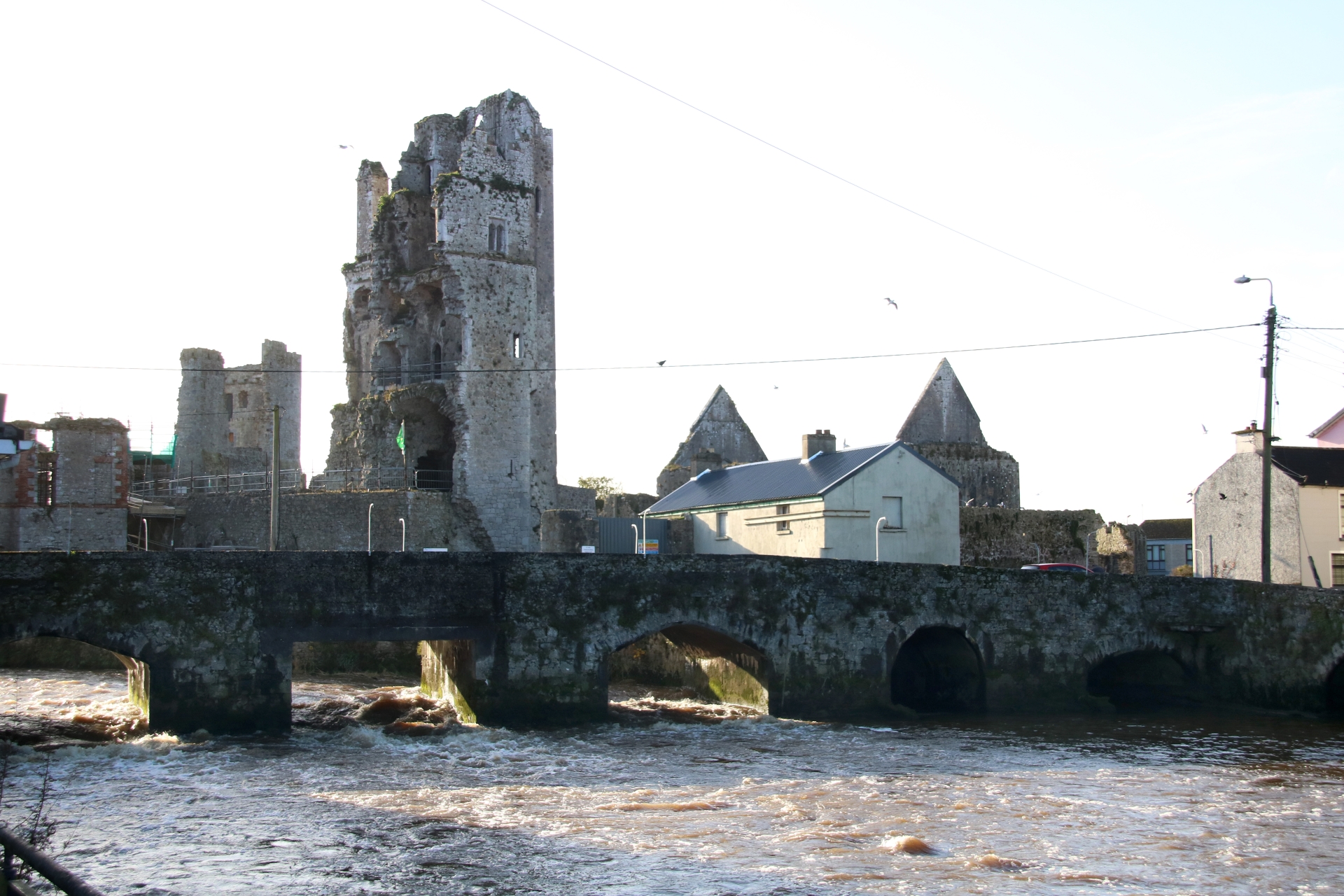 New signage to emphasise status of 'historic' Limerick town