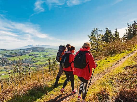 The 25th Ballyhoura Walking Festival takes place from October 8 to 10