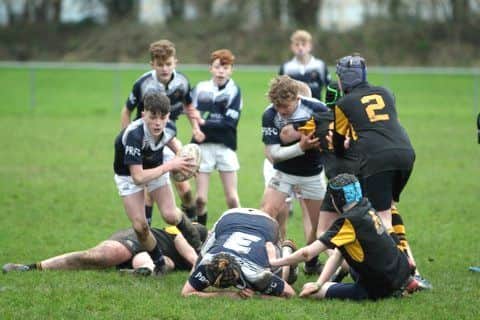 Portlaoise RFC u14's impress and take down Buccaneers