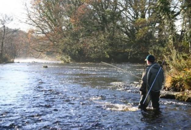 Three extra Donegal rivers open for 'catch and release' from January 1st 2018.