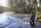 Three extra Donegal rivers open for 'catch and release' from January 1st 2018.