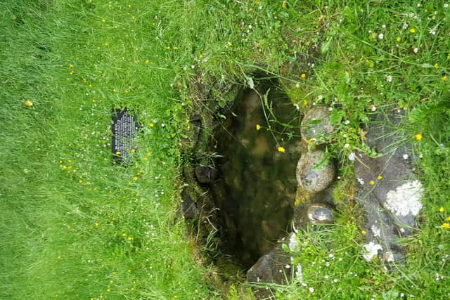 The pattern day for this holy well is the 15th of August and the article goes on to describe the pattern in more modern times. It says “the Mill road was lined with cars and paths led to and from Thurles on the Turtulla side and also there was an approach from the Drish Bridge side.