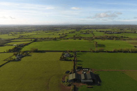 The 55 acres located between Adare and Kildimo has extensive road frontage