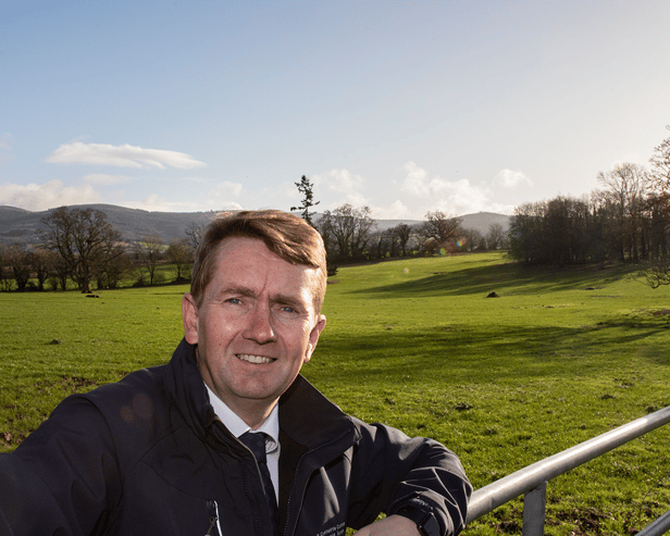 District Mayor Michael Murphy has said the Borough District is available to assist in the development of a hotel on the former Clonmel Arms site