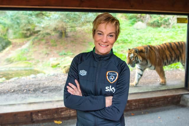 The task of taking on Slovakia (Thursday, November 25th) and Georgia (Tuesday, November 30th) - both at home in Tallaght Stadium - is one that Pauw is not taking lightly. 