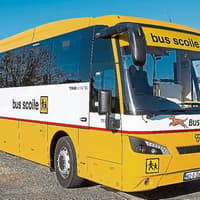 'Sizeable number' of seats for county Longford pupils who had no school bus places