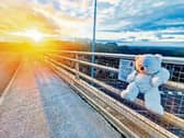 It is hoped the teddy bear will provide comfort