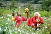 Celebrating at the launch of the largest ever pollination project in Ireland