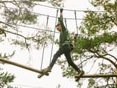 For thrill seekers, the aerial course at Tibradden Wood, Co Dublin