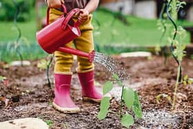 Watering plants is a great little job for little gardeners