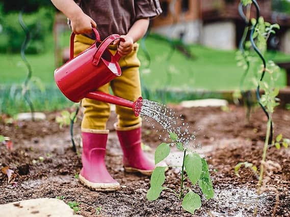 Watering plants is a great little job for little gardeners