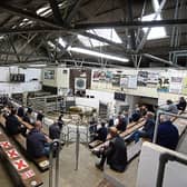 Bullocks sold for up to €1,740 a head or €2.87 per kg at Kilmallock Mart this week