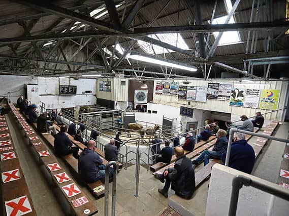 Bullocks sold for up to €1,740 a head or €2.87 per kg at Kilmallock Mart this week