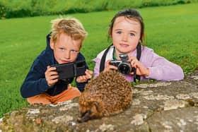 Stop hogging the limelight, Mr Hedgehog! Ed, 6, and Meaghan Fennessy, 5, from Pallasgreen, photograph a hedgehog at Lough Gur on Monday for this year’s Summer Solstice | PICTURE: Diarmuid Greene