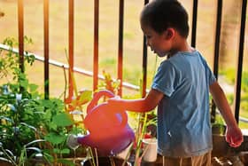 Getting little gardeners out and about this summer