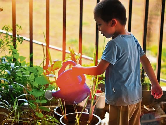 Getting little gardeners out and about this summer