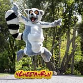 Eagle Athletic Club to run the 2021 Cheetah Run virtually to raise funds for Fota Wildlife Park