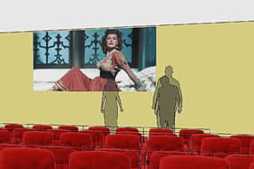 Up up and away: Some artist impressions of the new look Foynes Flying Boat Museum which has secured funding