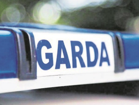 Limerick gardai seek information following theft of pet dog from garden ...