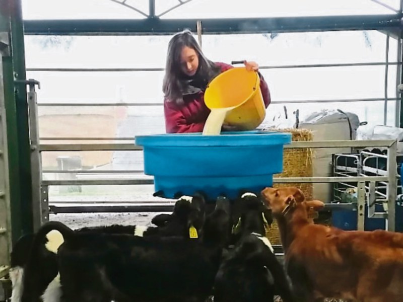 Tipperary TY student Emma O'Keeffe finds home experience rewarding