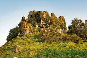 Carrigogunnell Castle is a popular visitor attraction