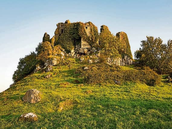 Carrigogunnell Castle is a popular visitor attraction