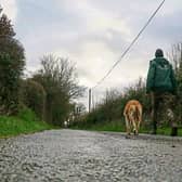 It can be a long road to recovery for some dogs that come to Limerick Animal Welfare but staff and volunteers fight for them every step of the way