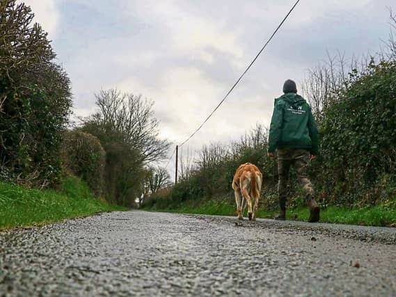 It can be a long road to recovery for some dogs that come to Limerick Animal Welfare but staff and volunteers fight for them every step of the way