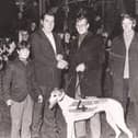 Greyhound pics from the archives.