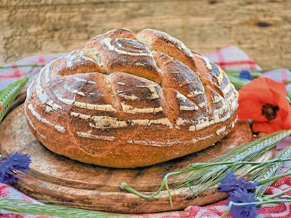 Sourdough is a healthier alternative to regular white or whole wheat bread