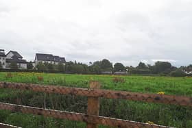The site near Devoy Quarter,  Naas