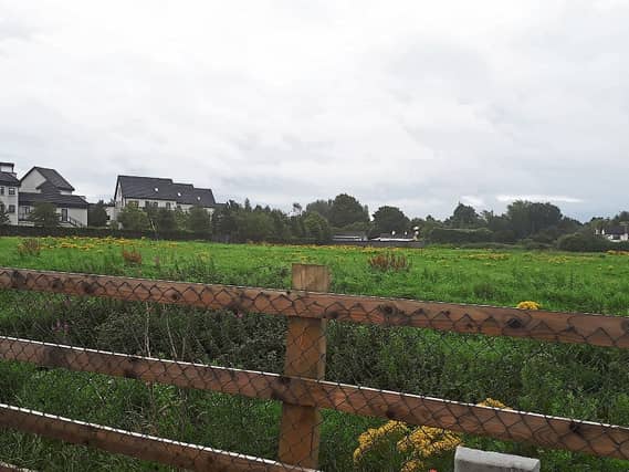 The site near Devoy Quarter, Naas