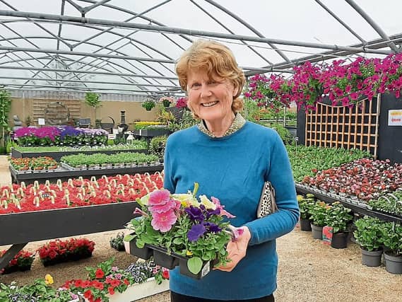 Customer Olive Fitzgerald, Kildimo pictured at Curraghchase Garden Centre this Monday